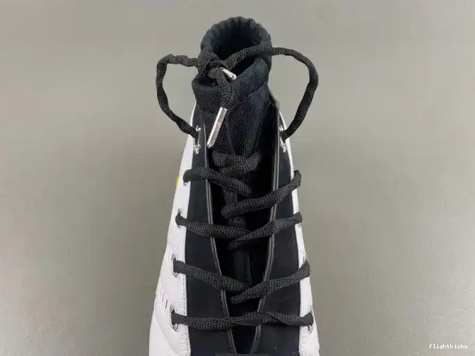 FJ0395-100 Low 17 Lightning Jordan Air 0423